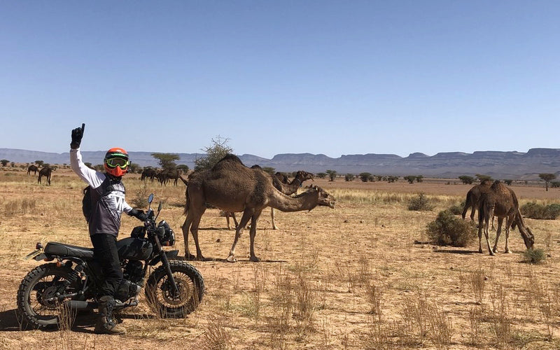 MUTT MOTORCYCLES x SCRAMAFRICA: AN UNDERDOG STORY